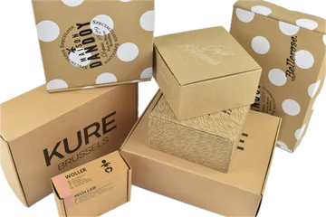 Ταχεία παράδοση Κιβώτια σε Zwijnaarde BE